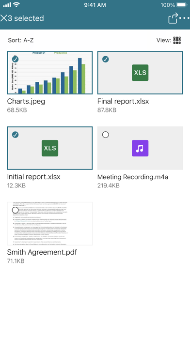 Citrix Files Screenshot