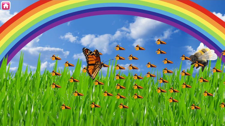 Acts of Kindness RAKNB- Chpt 2