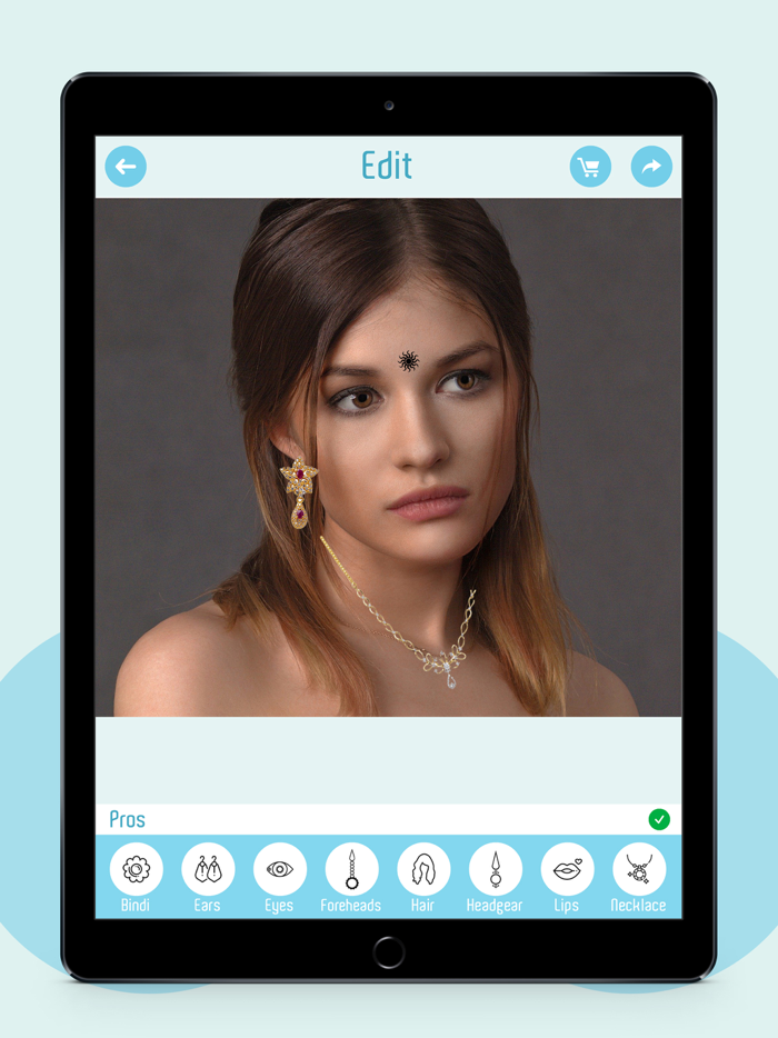 Indian Bridal Makeup Kit