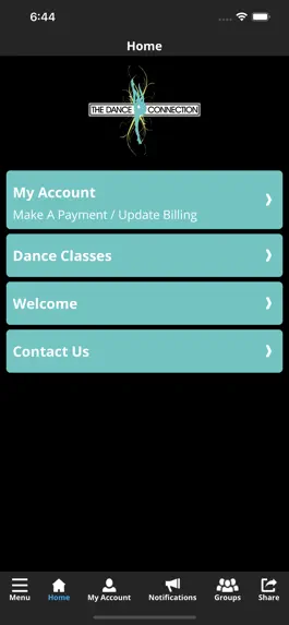 Game screenshot The Dance Connection apk