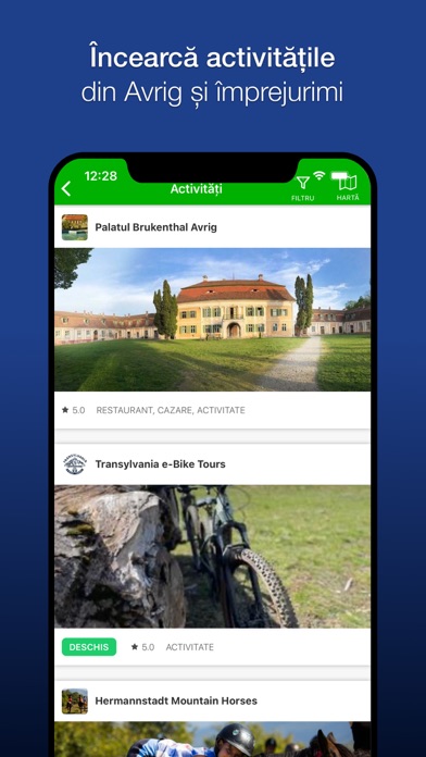 Avrig City Screenshot