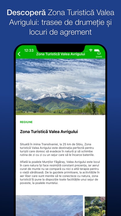 Avrig City Screenshot