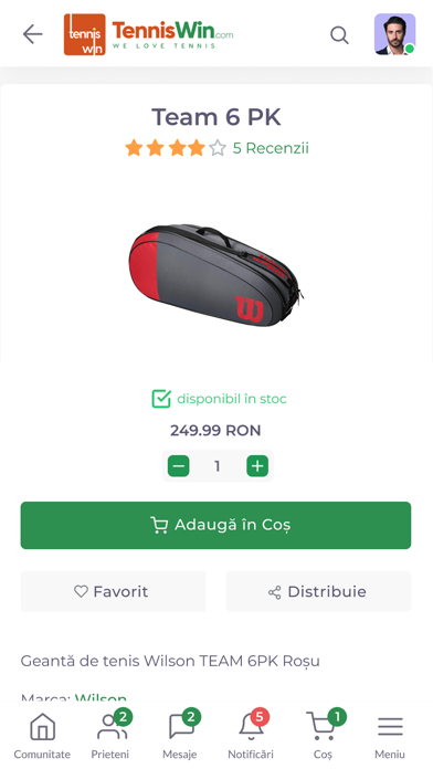 TennisWin Screenshot