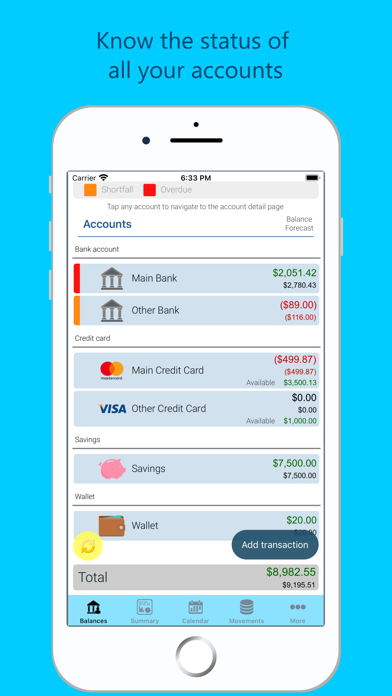 Saru - Expenses and Money Screenshot