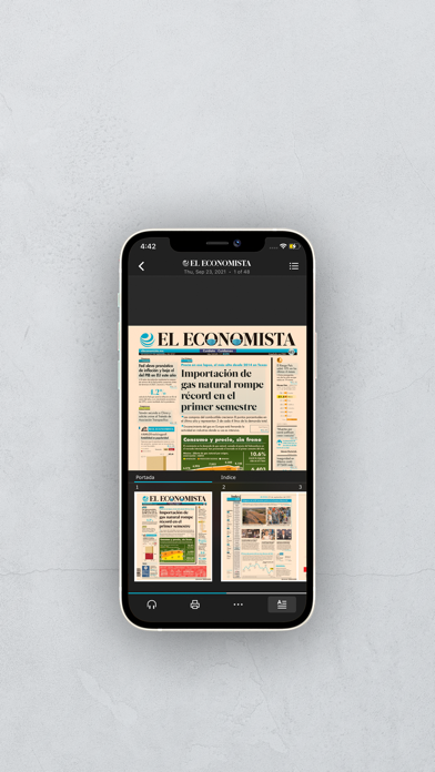 El Economista Edición Digital Screenshot