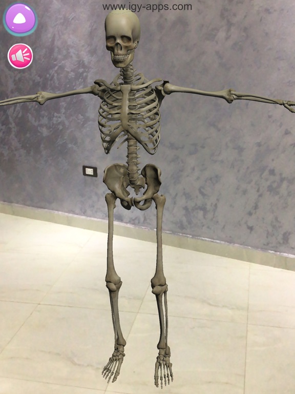 Screenshot #6 pour Anatomy AR 4D