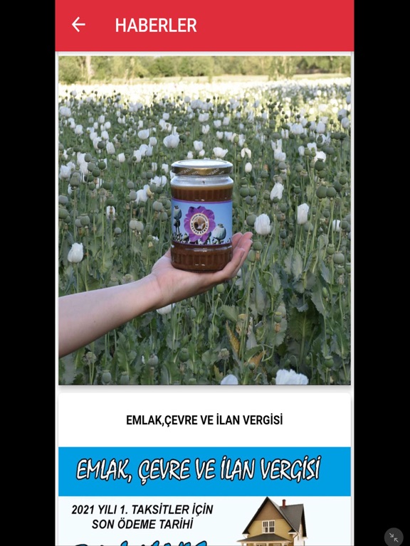 Screenshot #6 pour Dazkırı Belediyesi