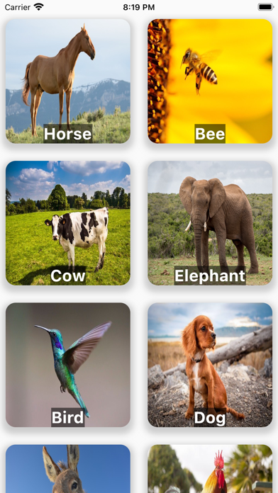 Animals Voices Screenshot