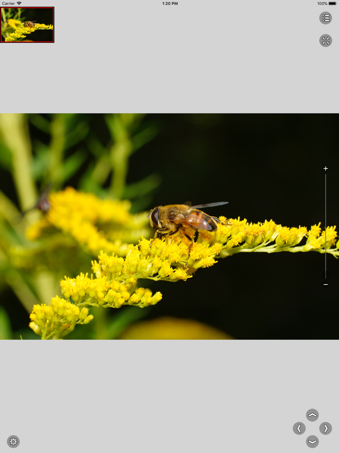 Viewer for Very Large Images