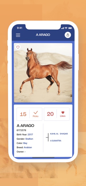 FanStable: Fantasy Horse Shows on the App Store