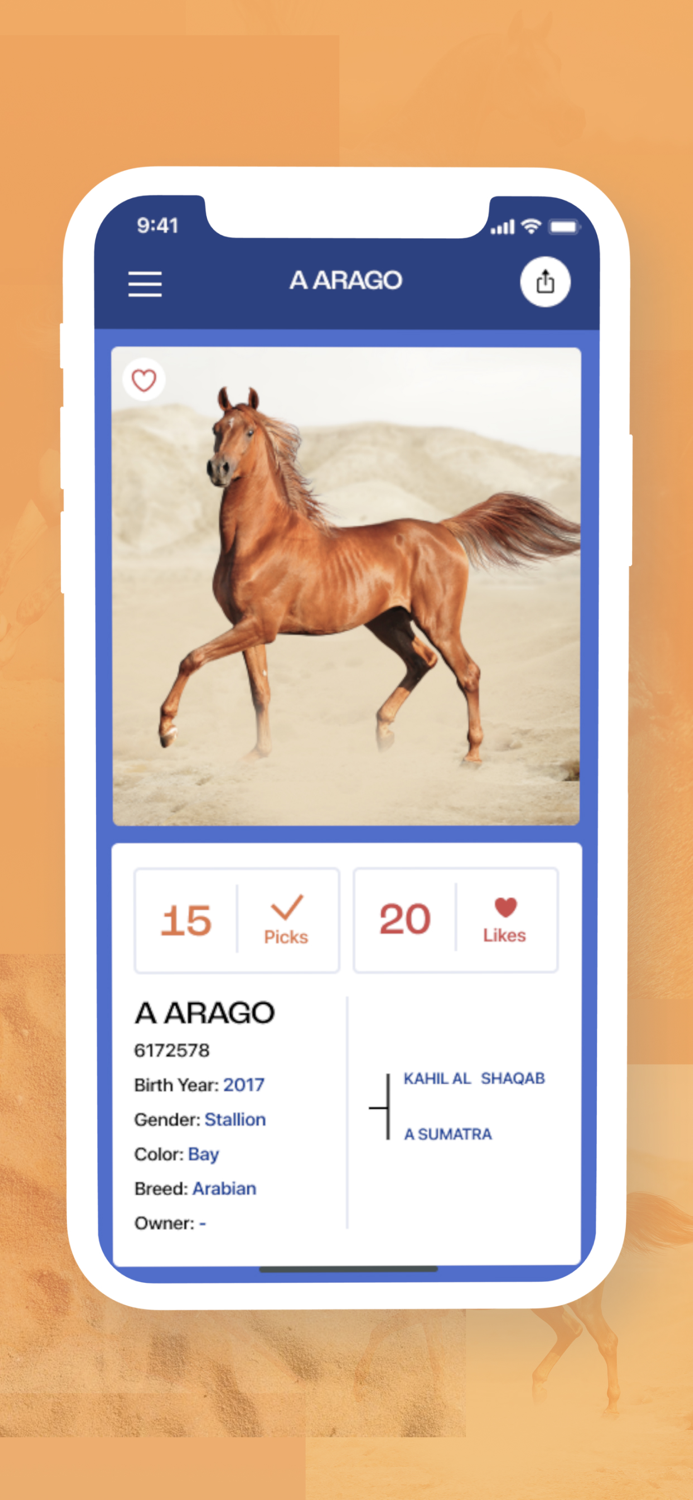 FanStable Fantasy Horse Shows