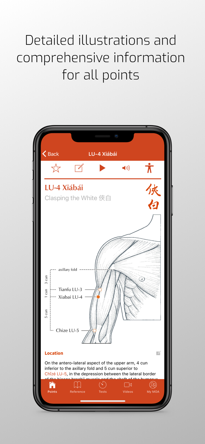 A Manual of Acupuncture