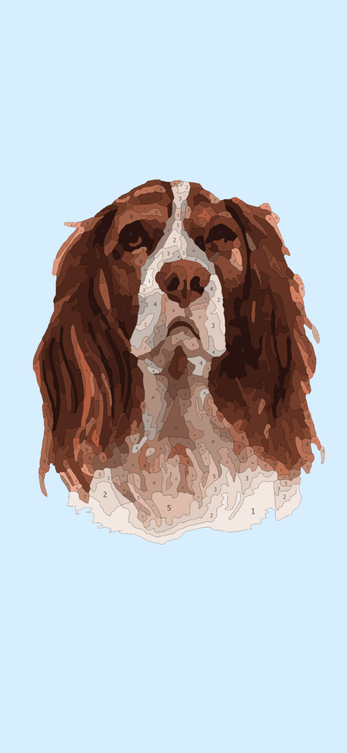 Color Space - Paint by Number