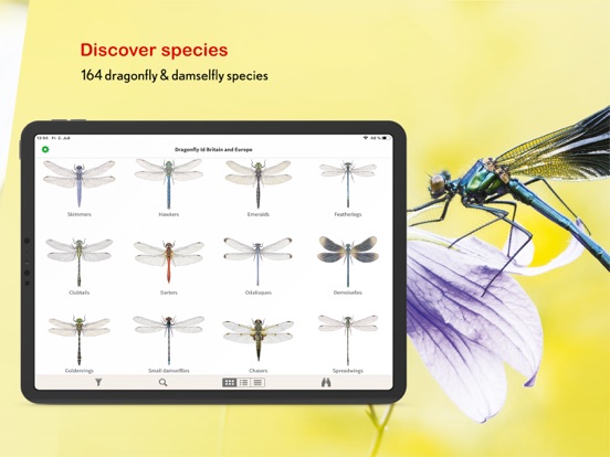Dragonfly Id Britain & Europe iPad app afbeelding 4