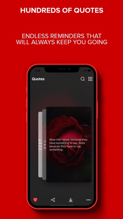 Sezen365 Screenshot