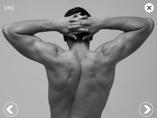 3D Anatomy for the Artist iPad screenshot 4 - Graphics & Design app