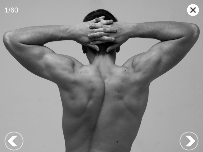 3D Anatomy for the Artist