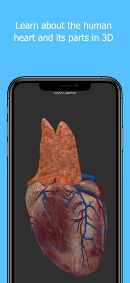 Game screenshot Anatomy Of The Human Heart mod apk