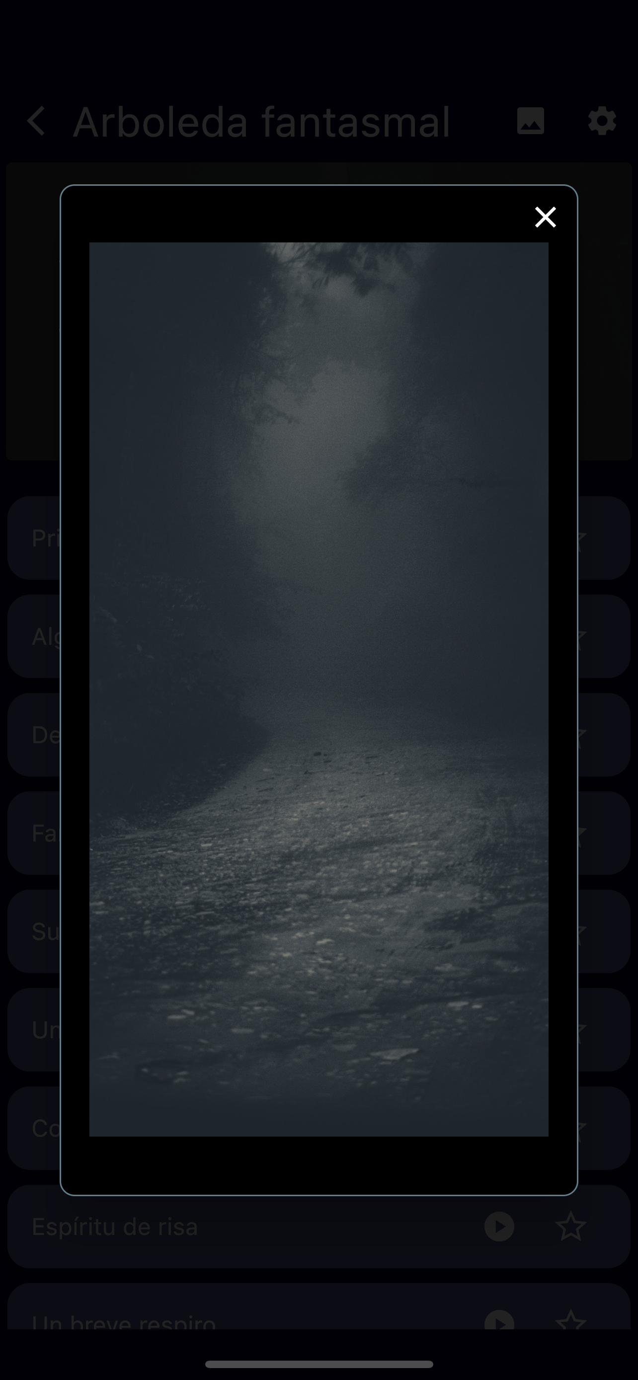 Sonidos de miedo Halloween '23