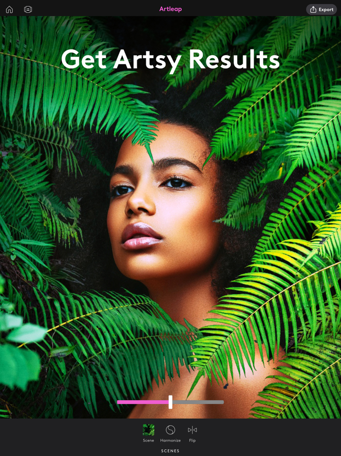 Artleap by Lightricks