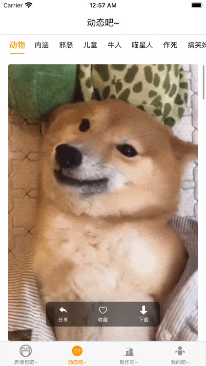 鸡毛斗图-GIF表情在线制作