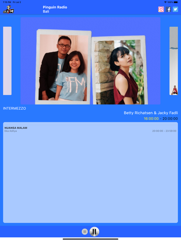 Screenshot #4 pour Pinguin FM