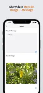 Steganography: Hidden Message screenshot #4 for iPhone