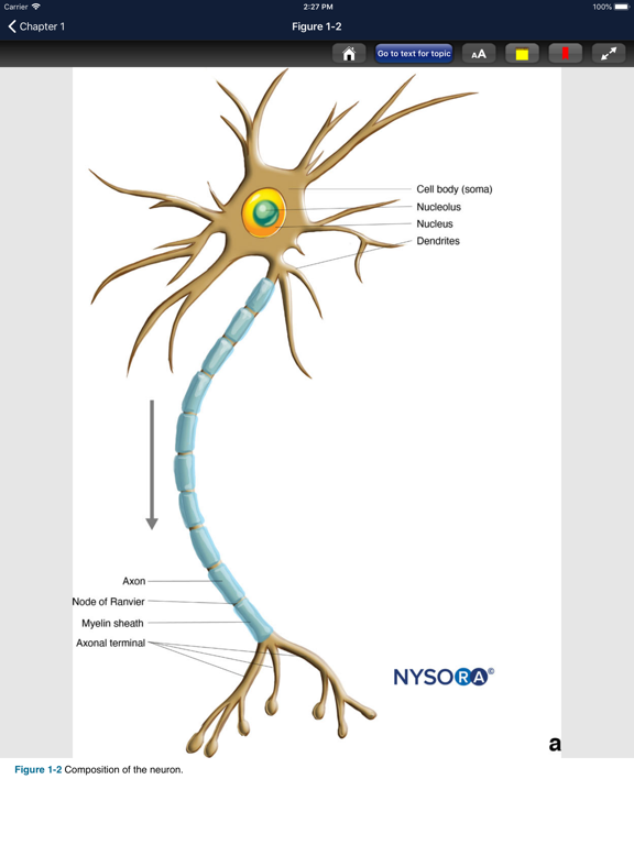 Hadzic's Nerve Blocks, 3Eのおすすめ画像7