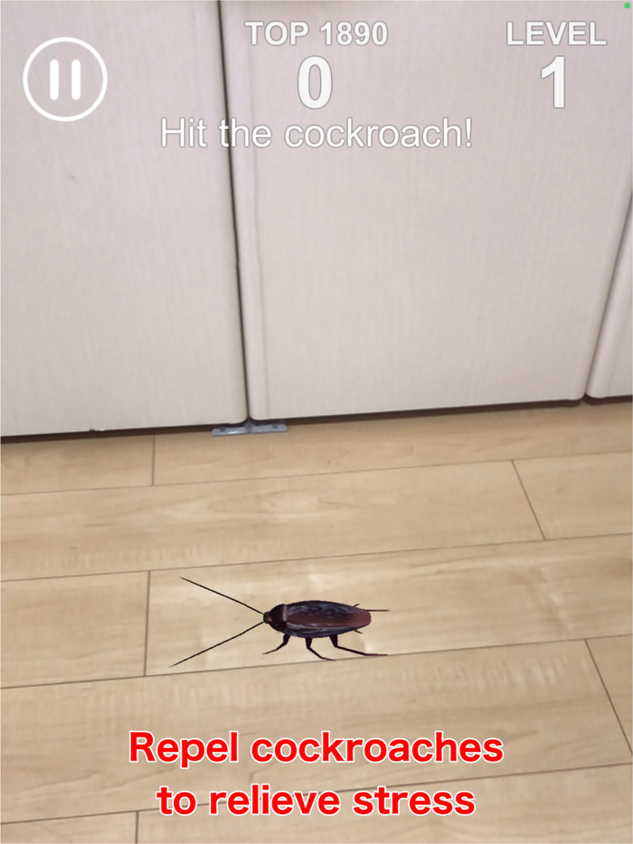 AR Cockroach on the run
