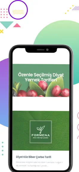 Game screenshot Formena Diyet Yemekleri mod apk
