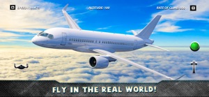 Real Airplane Simulator screenshot #2 for iPhone
