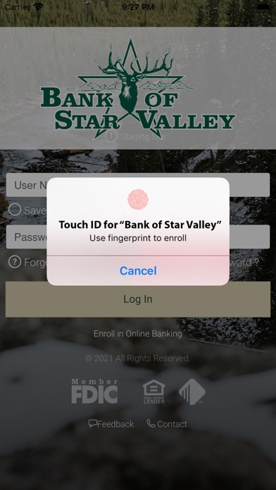 Bank of Star Valley Screenshot
