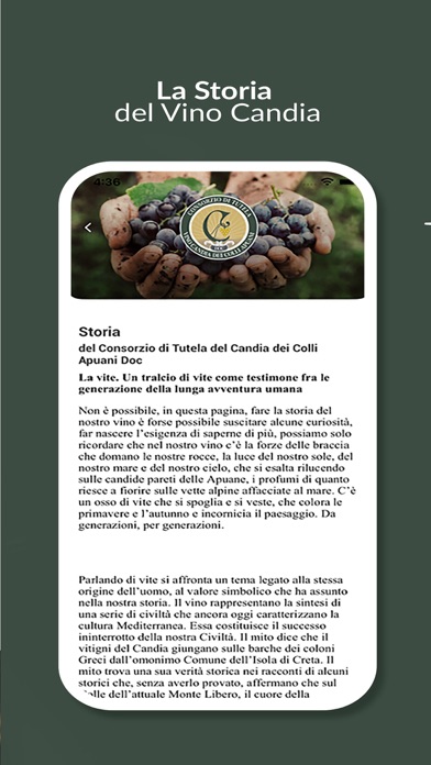 BevoCandia Screenshot