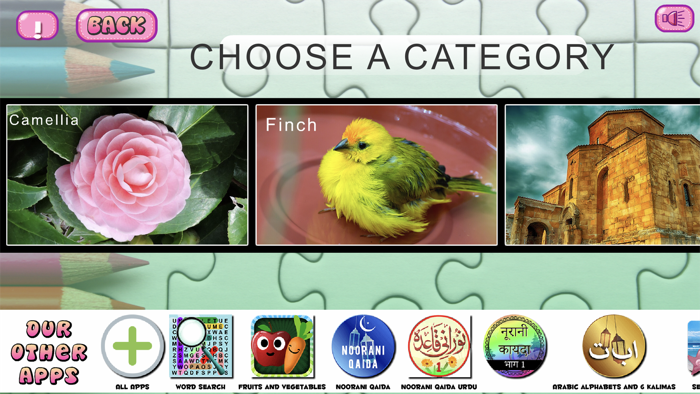 Slide and Jigsaw Puzzles