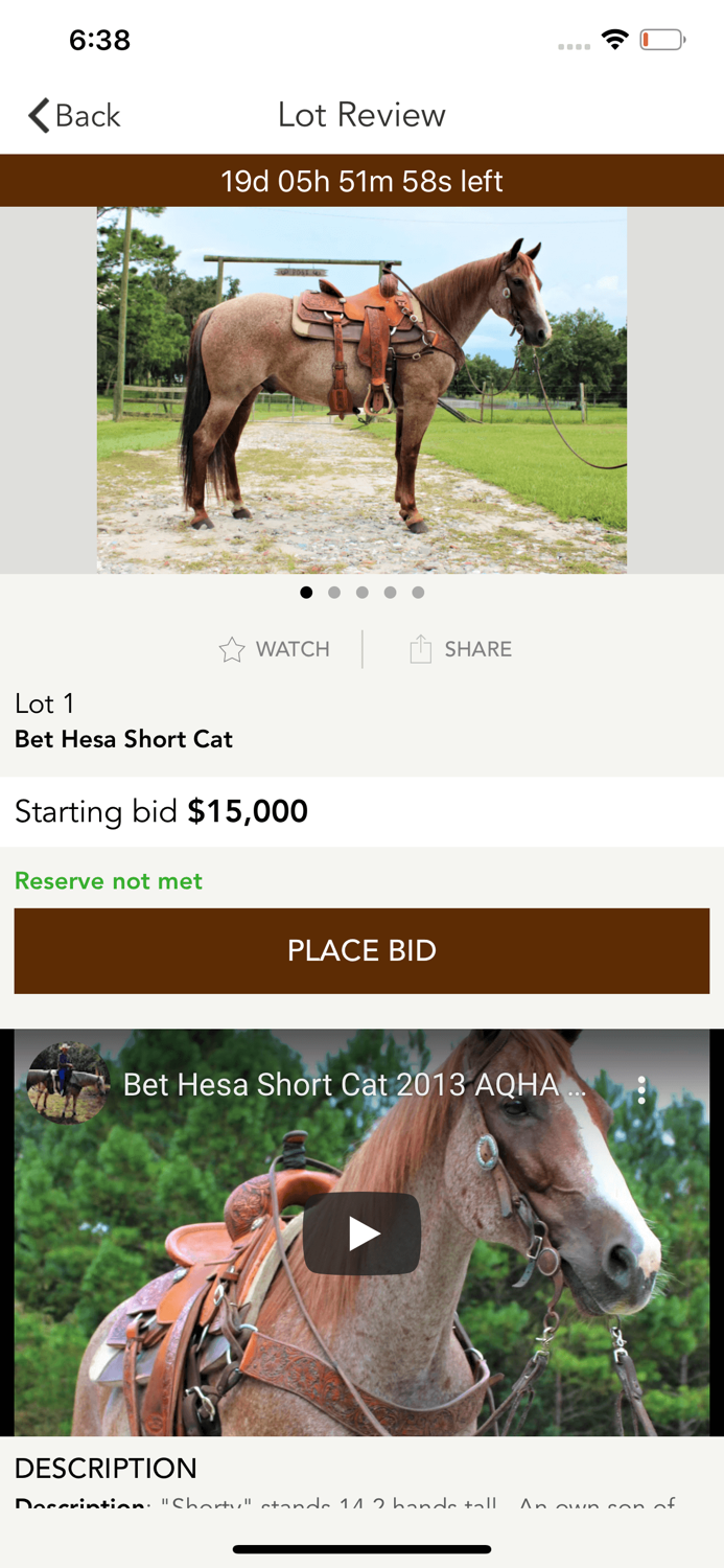 Dan Post Quarter Horse Auction