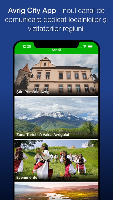 Avrig City Screenshot