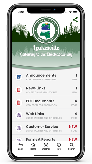 Town of Leakesville Screenshot
