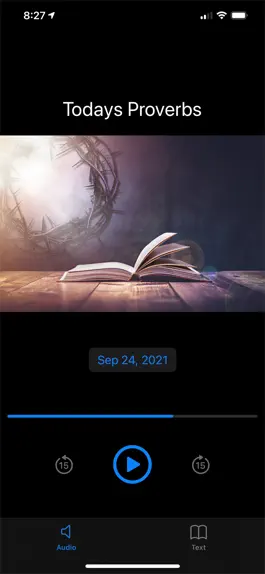 Game screenshot Todays Proverbs hack