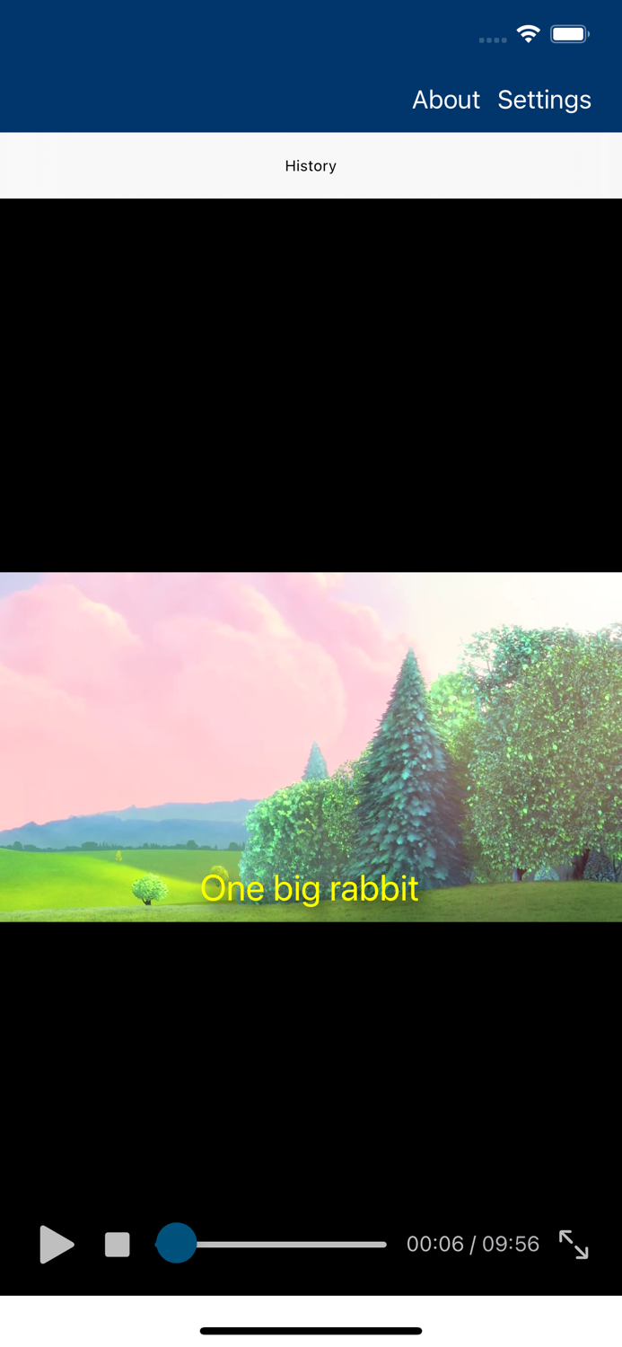 Video player ft. subtitles