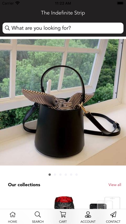 The Indefinite Strip - Shop