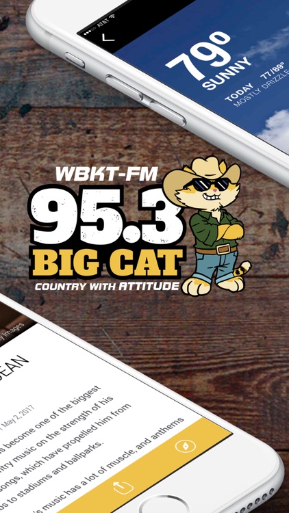 95.3 Big Cat