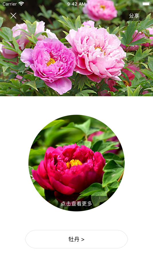#2. 拍照识花-植物识别 (iOS) 由: Shanghai Yuanlai Infomation Technology Co., Ltd.