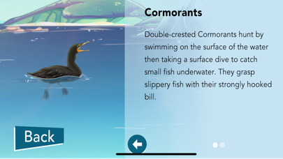 Scout About South Seas Screenshot