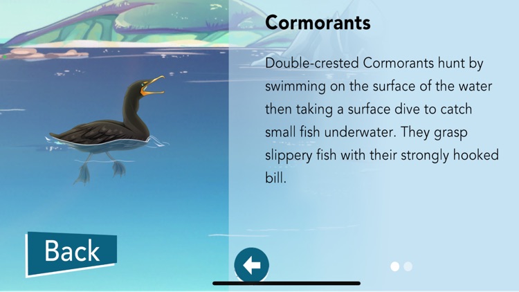 Scout About South Seas