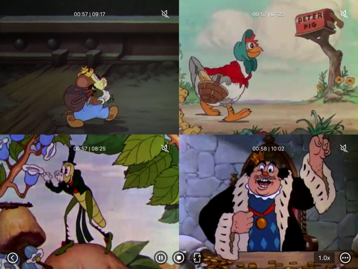 Multi Video Player Plus