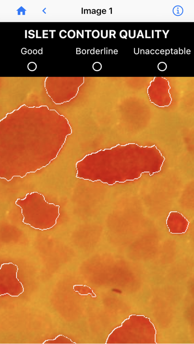 Screenshot #2 pour IsletSwipe