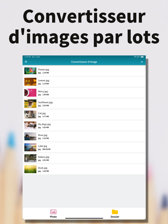 Screenshot #4 pour Convertisseur d'images