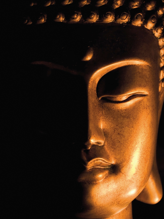 Screenshot #4 pour Wei Wu Wei Ching