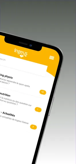 Game screenshot Ingeus Suisse hack