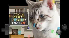 Game screenshot 猫飼いシミュレーション apk